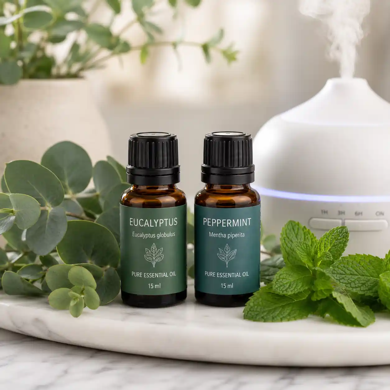 Eucalyptus essential oil diffusing aromatic mist for respiratory comfort and freshness