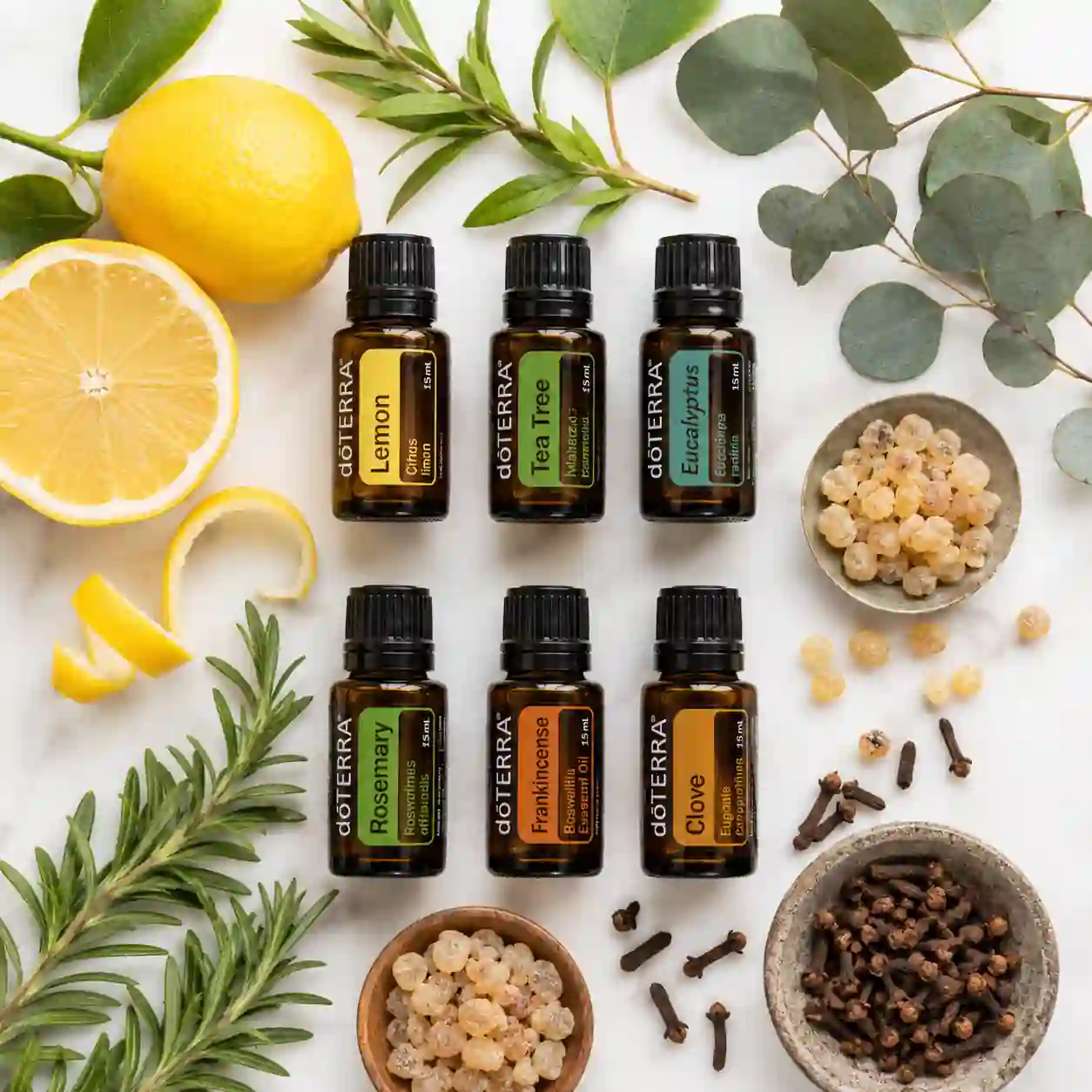 Fresh lemon, rosemary, eucalyptus, tea tree, clove, and frankincense used in immunity essential oil blend recipes.